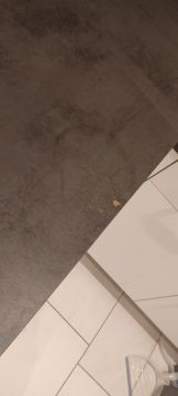 Professional - Home Improvements