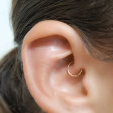 Piercing Artist