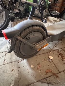 Spezialist für Scooter
