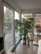 Pet Door Installer