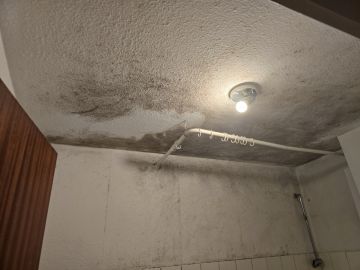 Experten für Schimmelbeseitigung