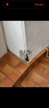 Concrete/Cement/Asphalt