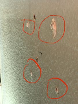 Techniker für Fernseher Wandmontage