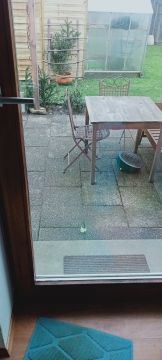 Pet Door Installer