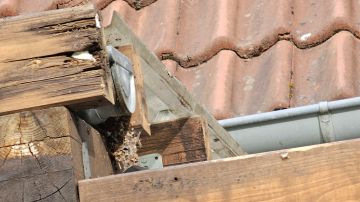 Terrassenüberdachung montieren