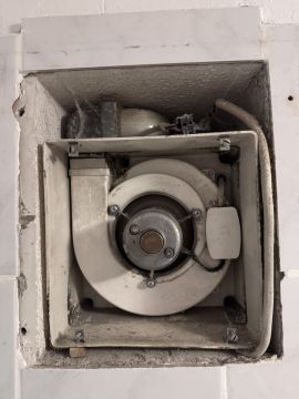 Experten für Badlüfter