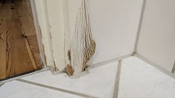 Door Repair