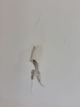 Mold Removal Expert - Domestic Services