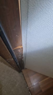 Türreparatur