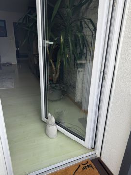 Fachmann für Katzenklappen