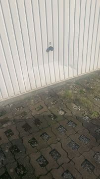 Especialista en reparación de puertas de garaje