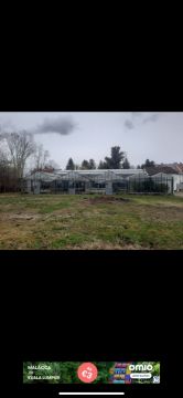 Greenhouse Specialist