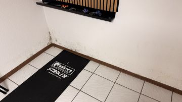 Inspection et élimination des moisissures - Nettoyage