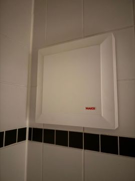 Bathroom Fan Professional