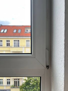 Window Repair Specialist