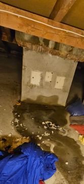 Especialista en reparación de chimeneas