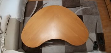 Furniture Repair Professional