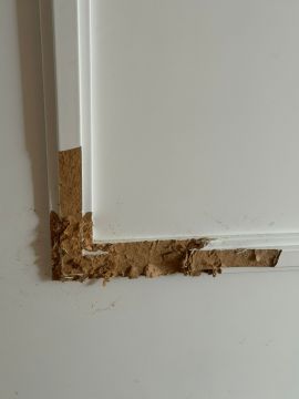 Türreparatur