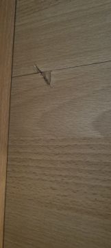 Floating Flooring Services