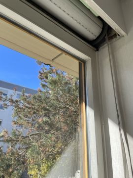 Fensterläden reparieren - Fenster