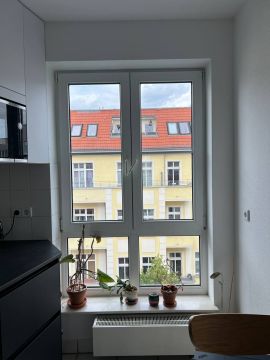 Window Repair Specialist