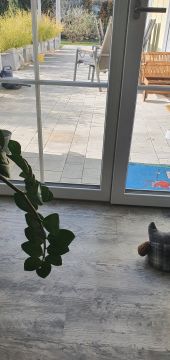 Pet Door Installer