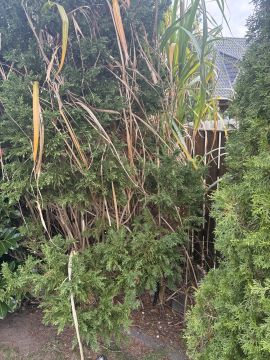 Gartenarbeiten