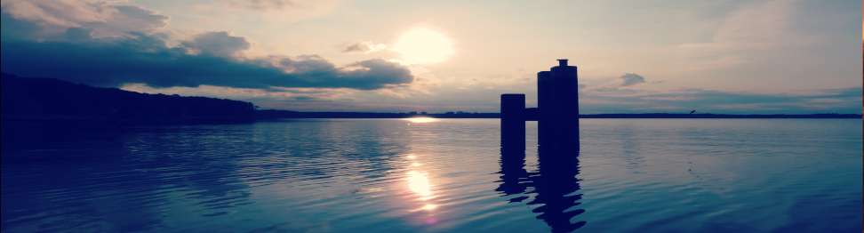 Tree - Recklinghausen - Personal Training