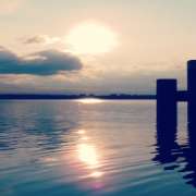 Tree - Recklinghausen - Personal Training