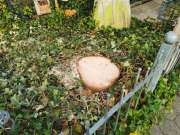 Stump Grinder