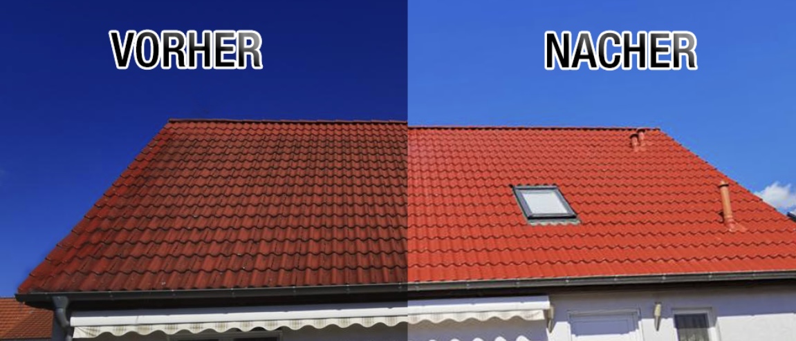 Dachdeckerei Gabriel hat die Kapazitäten frei und die nötige Fachleute für ihr Dach. - Dortmund - Roof Cleaning