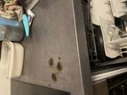 Professional - Home Improvements