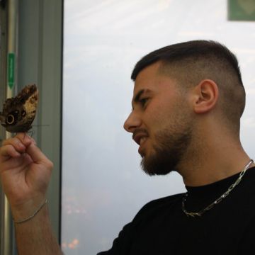 Herrenschnitt by Janno - Fulda - Haare oder Strähnchen färben