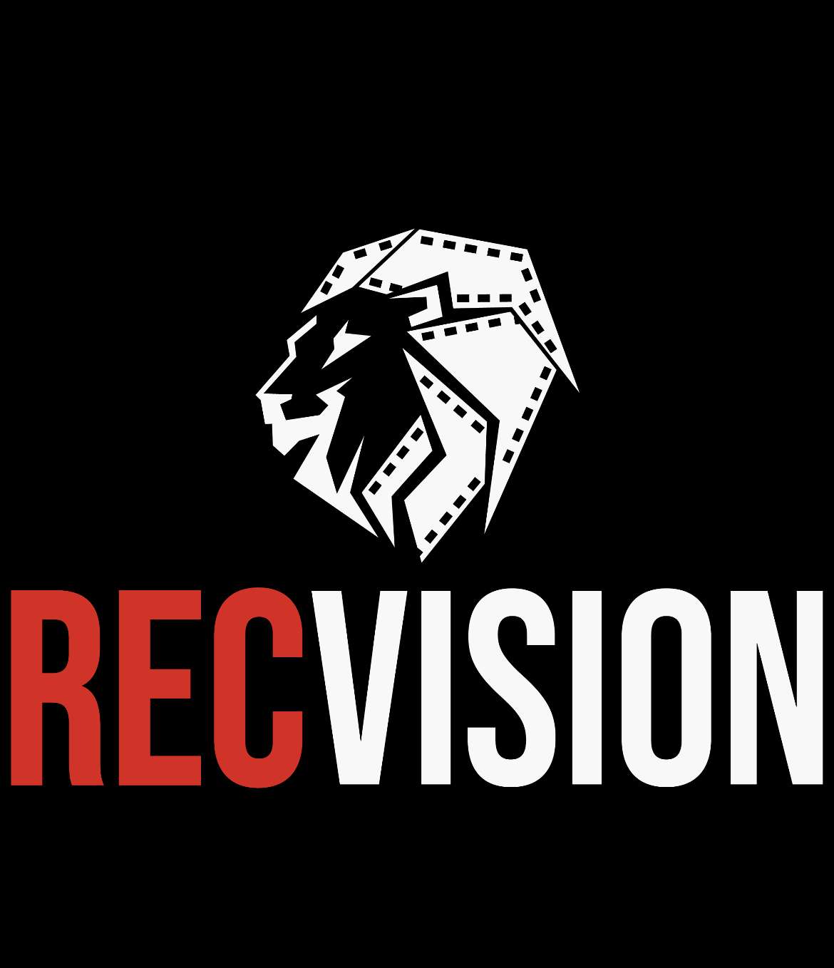 RecVision Videography - Schweinfurt - Videoübertragung