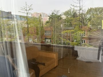 Fenster - Haus