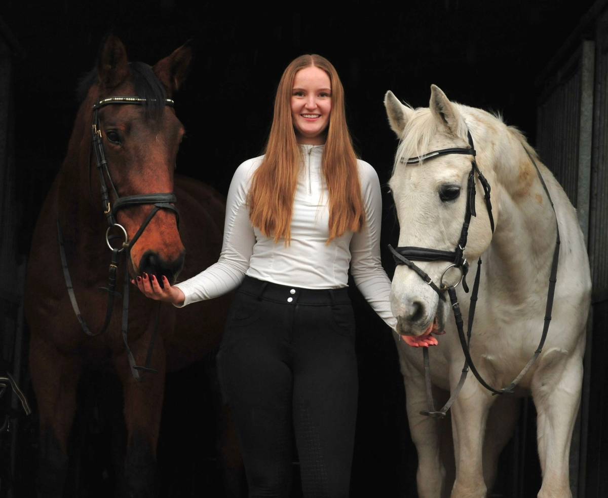 Ann-Katrin Kohnle - Breisgau-Hochschwarzwald - Tiertraining und Verhaltensänderung (keine Hunde)