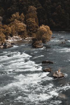 Felix Oehler Fotografie - Gera - Bewerbungsfotos