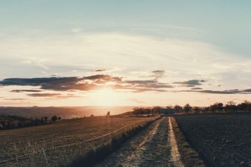 Felix Oehler Fotografie - Gera - Tierfotograf