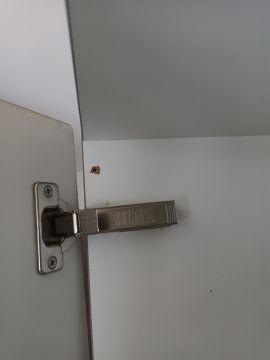 Haushaltsgeräte reparieren