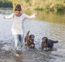 Anja Augustin Hundetrainerin - Eichstätt - Haustierpflege