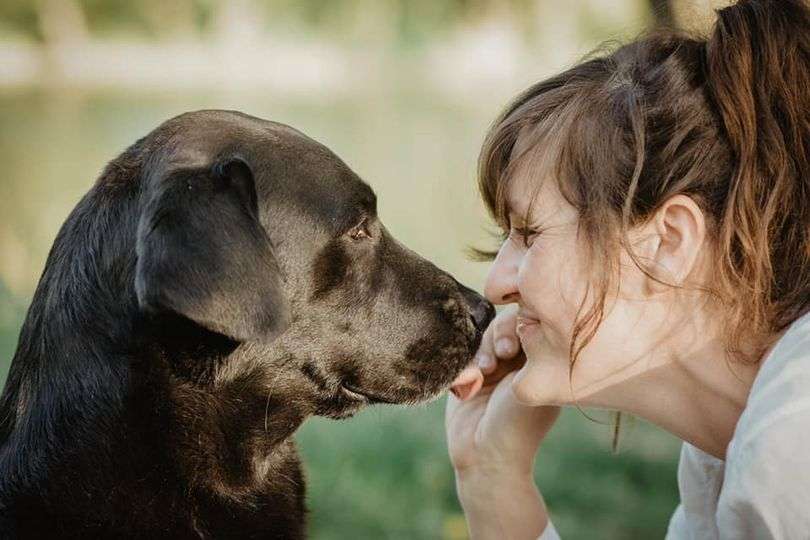 Anja Augustin Hundetrainerin - Eichstätt - Hundeausführung