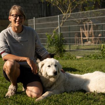 Hundetraining Wilde - Zwickau - Haustierpflege