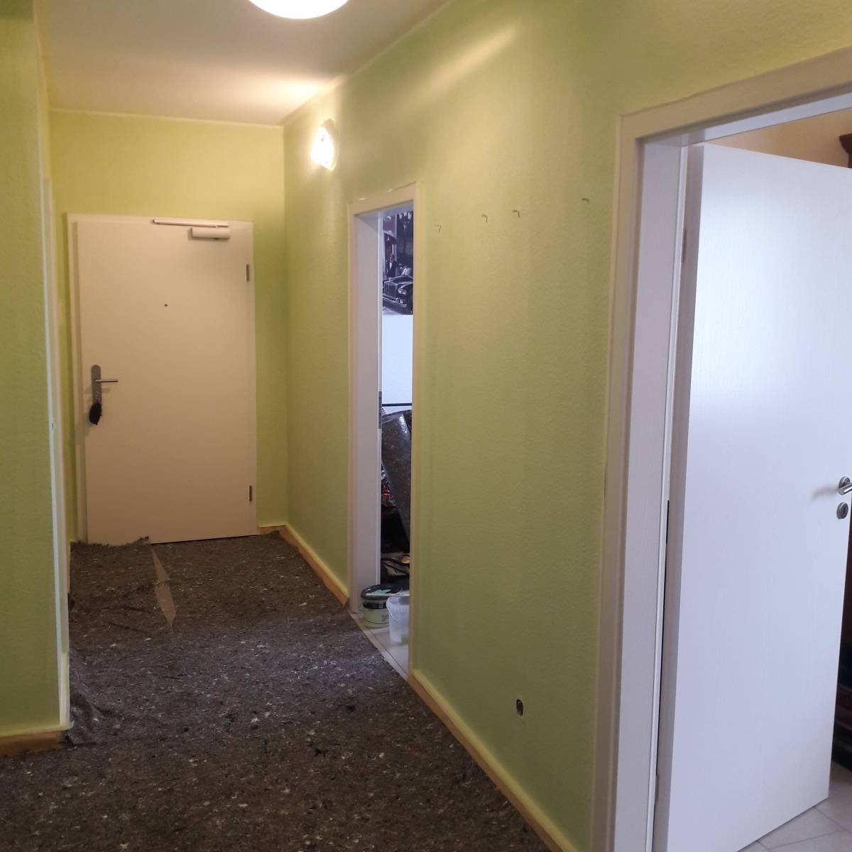 Grisha's Hausmeisterservice - Aschaffenburg - Wände verkleiden, reparieren oder entfernen
