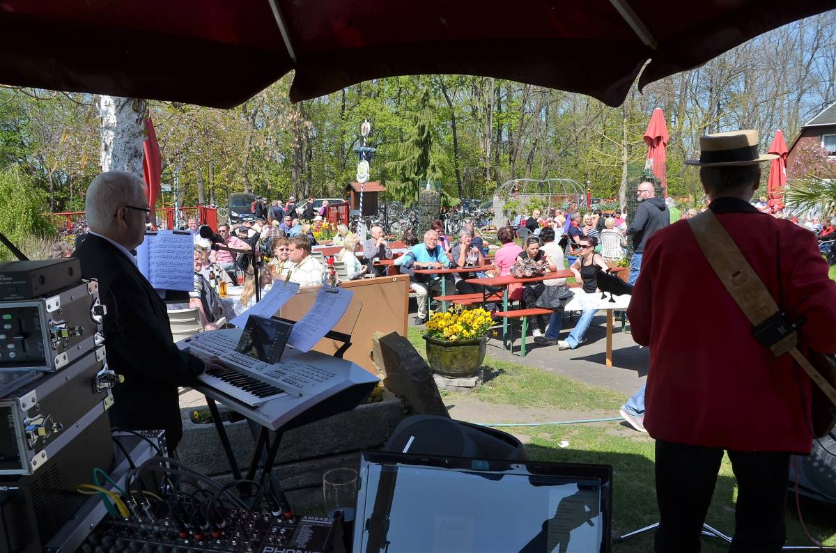 LIVE-PROJEKT - Halle (Saale) - Top 40 Band Entertainment