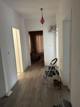 Move-in / Move-out Cleaner - Domestic Services