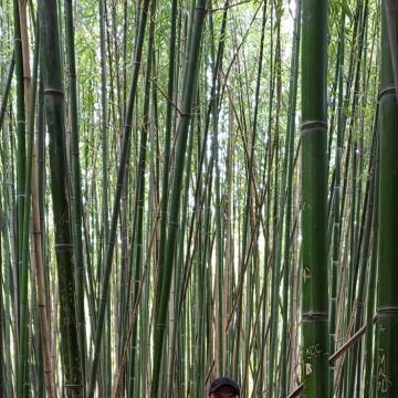 UEPR - Dresden - Cabinet Refacing