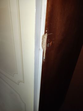 Furniture Repair Professional