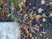 Gartenarbeiten