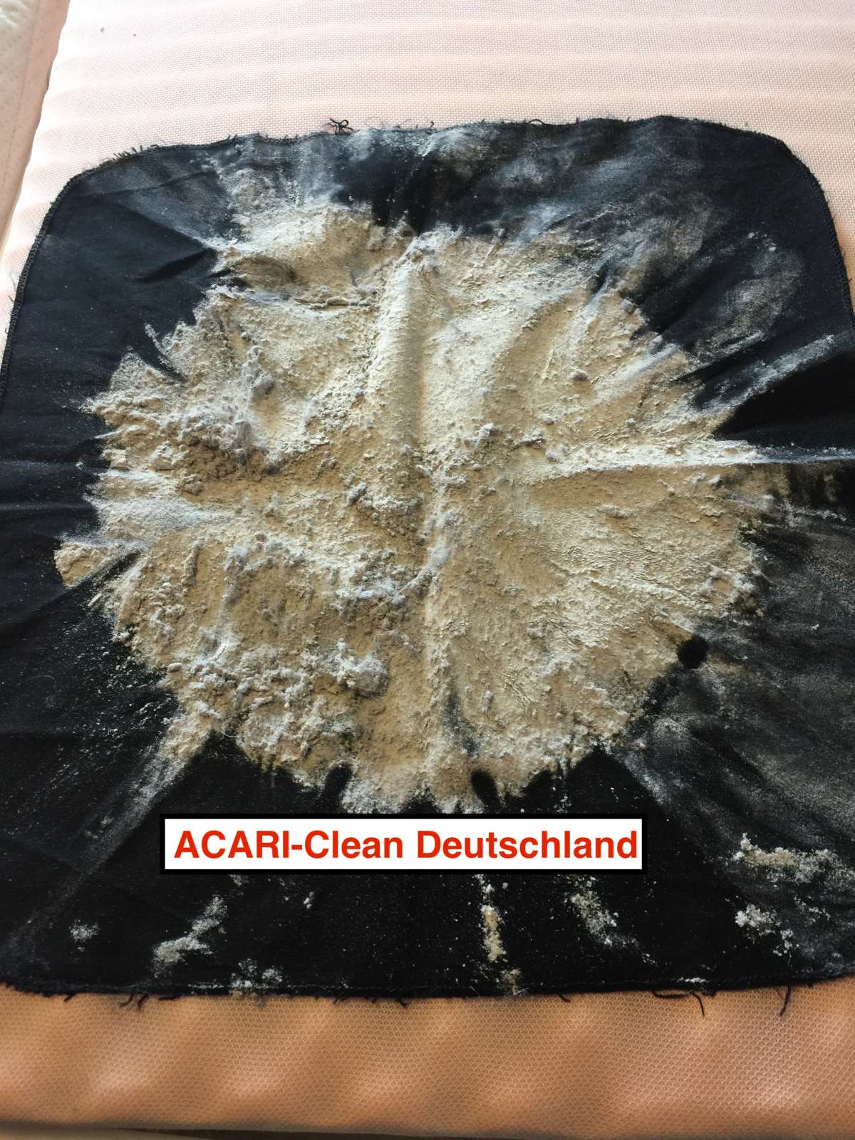 AcariClean Deutschland - Hof - Reinigung