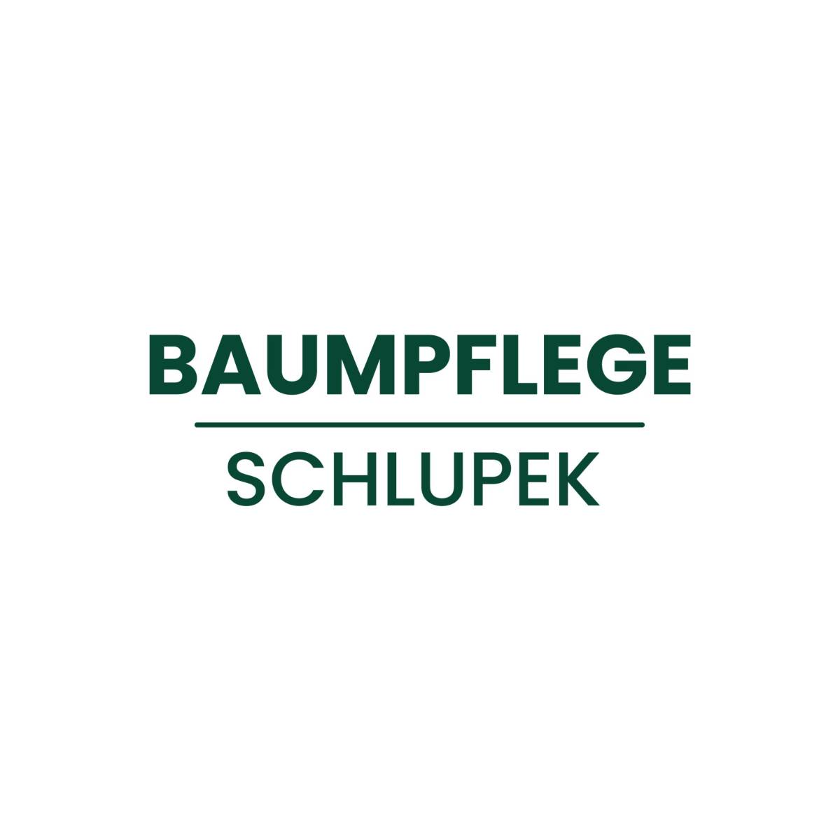 Baumpflege Schlupek - Ulm - Rasenpflege - Kompletter Rundum-Service (regelmäßig)